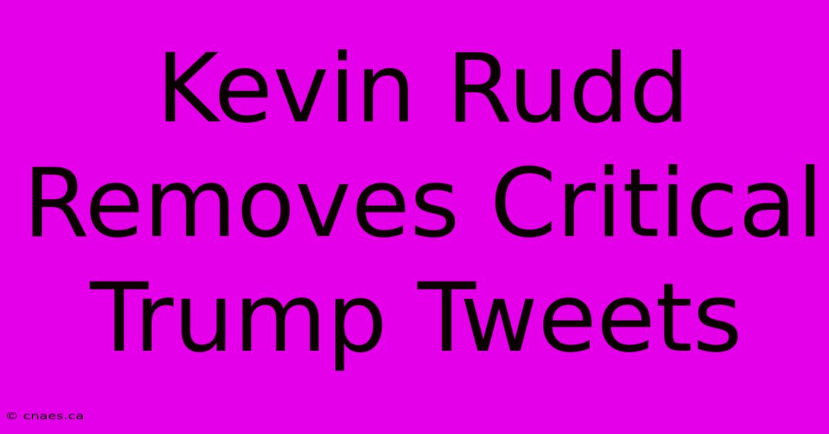 Kevin Rudd Removes Critical Trump Tweets