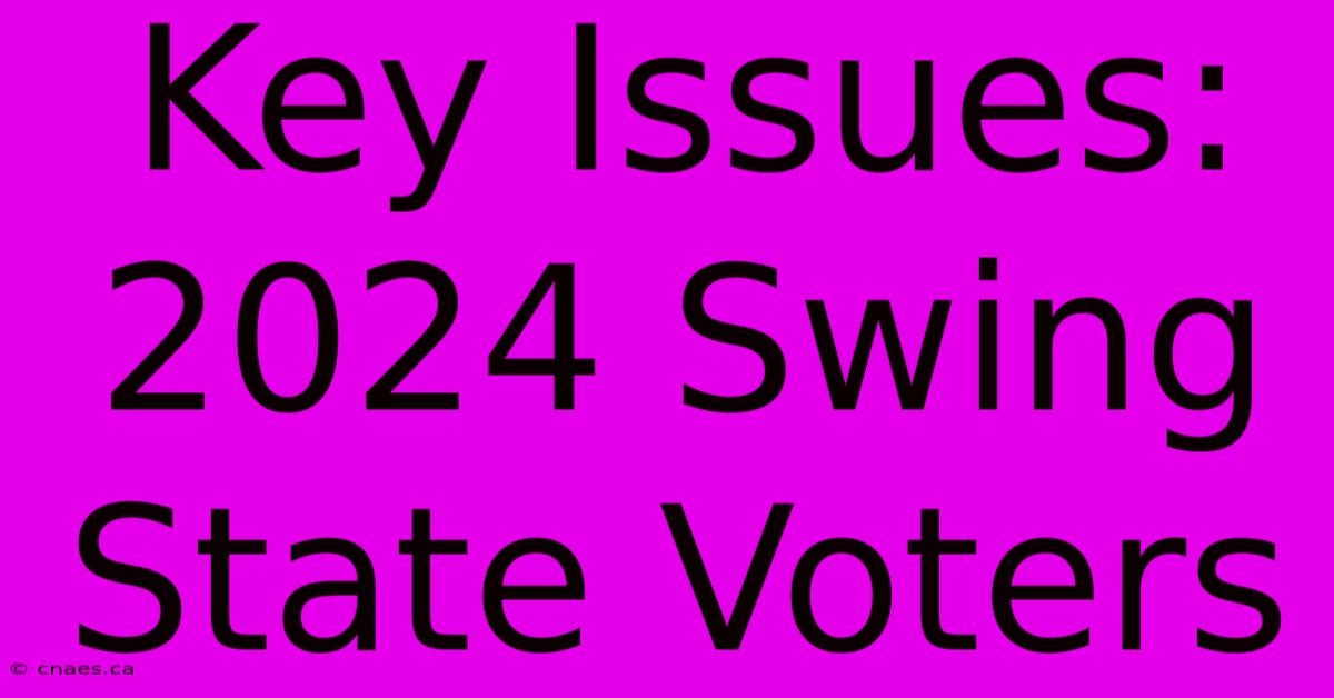 Key Issues: 2024 Swing State Voters