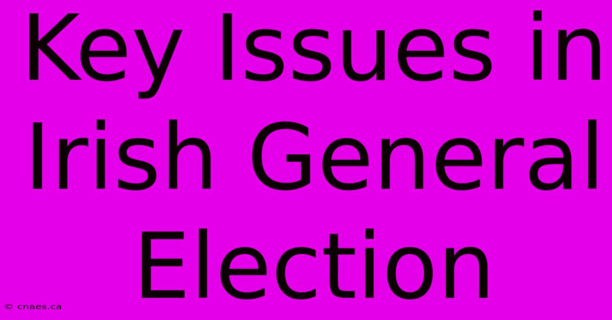 Key Issues In Irish General Election