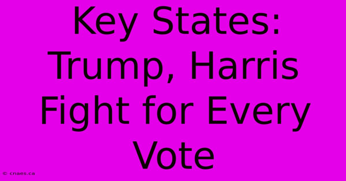 Key States: Trump, Harris Fight For Every Vote 