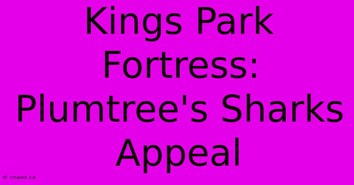 Kings Park Fortress: Plumtree's Sharks Appeal