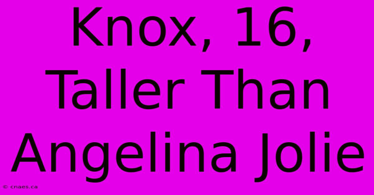 Knox, 16, Taller Than Angelina Jolie