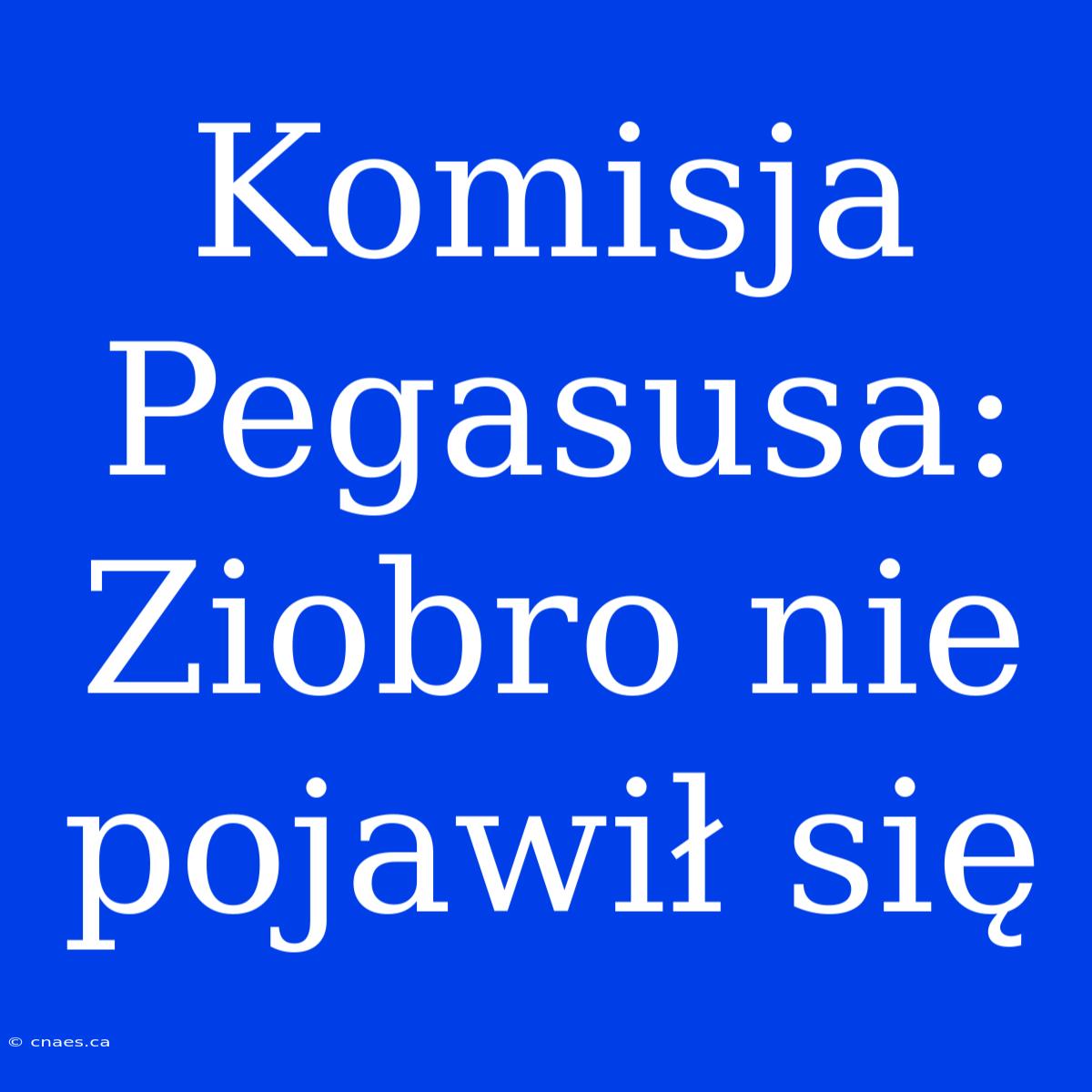 Komisja Pegasusa: Ziobro Nie Pojawił Się