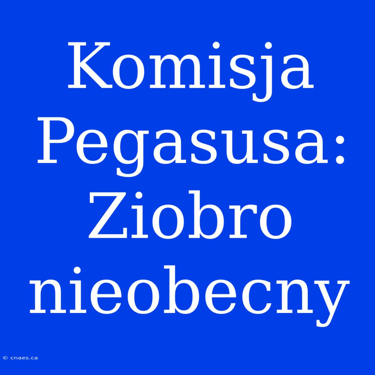 Komisja Pegasusa: Ziobro Nieobecny