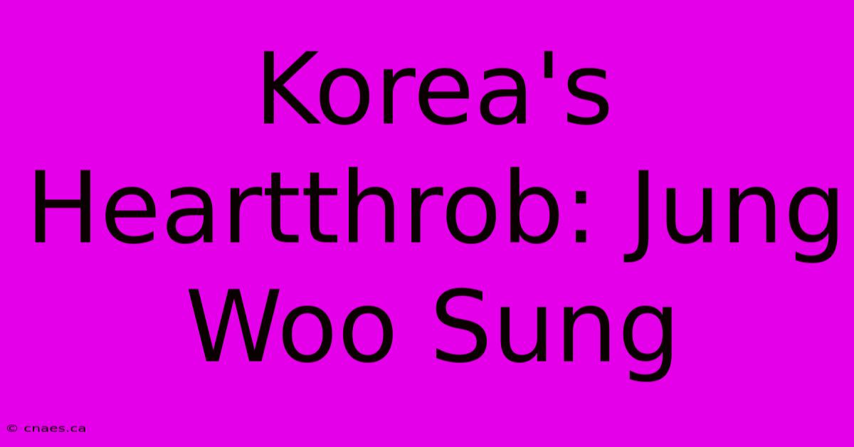 Korea's Heartthrob: Jung Woo Sung