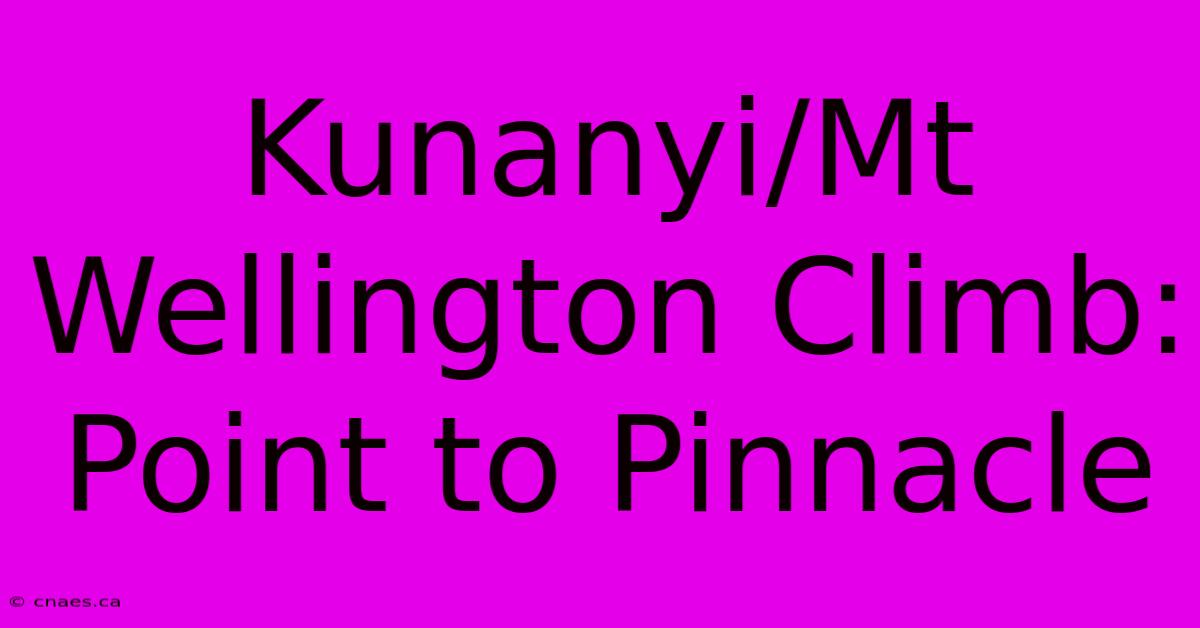 Kunanyi/Mt Wellington Climb: Point To Pinnacle