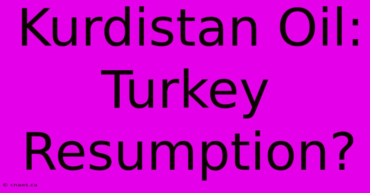 Kurdistan Oil: Turkey Resumption?