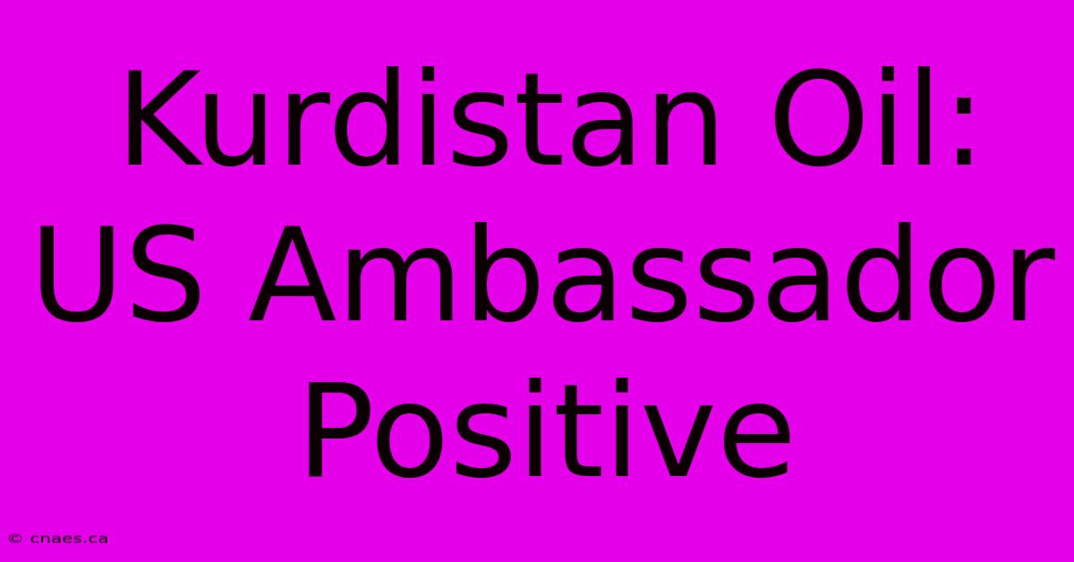 Kurdistan Oil: US Ambassador Positive