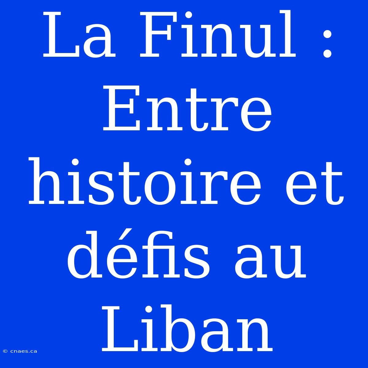 La Finul : Entre Histoire Et Défis Au Liban