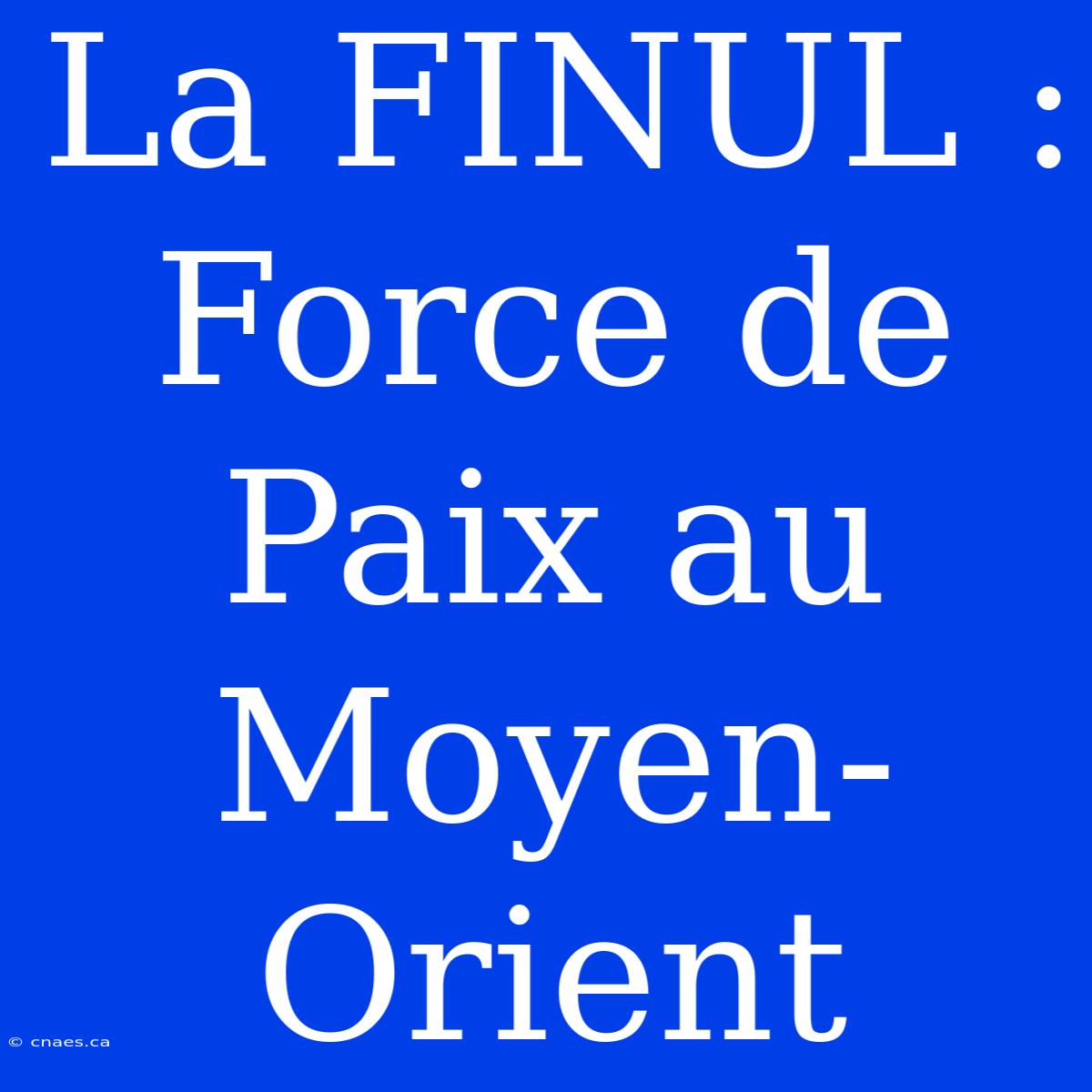 La FINUL : Force De Paix Au Moyen-Orient