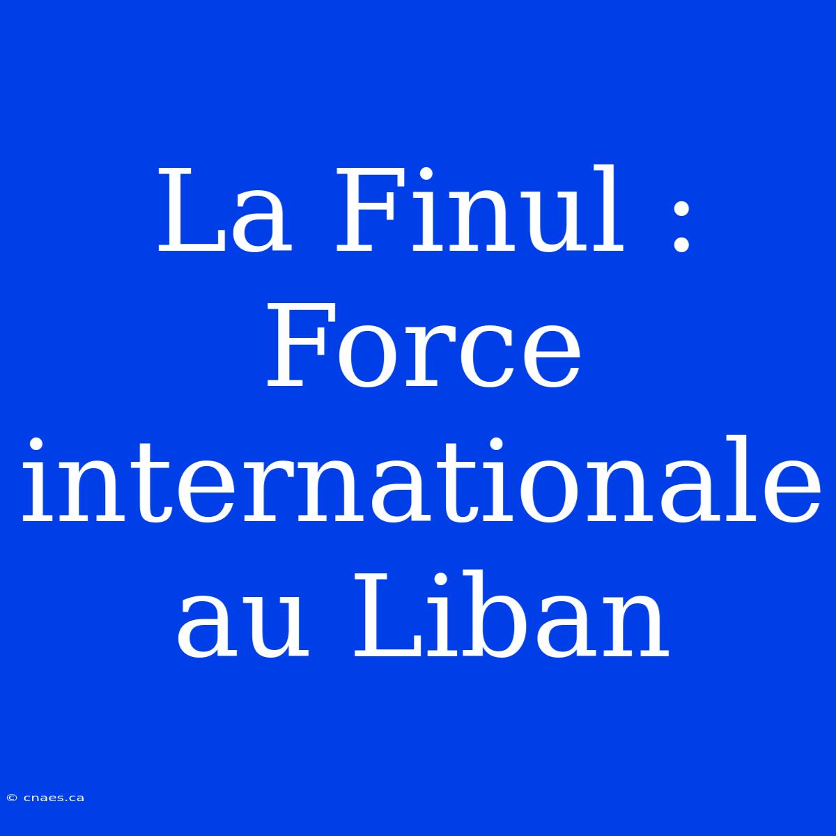 La Finul : Force Internationale Au Liban