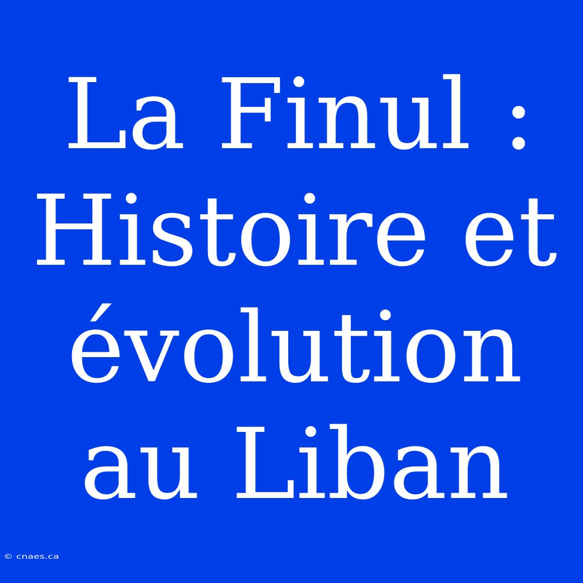 La Finul : Histoire Et Évolution Au Liban