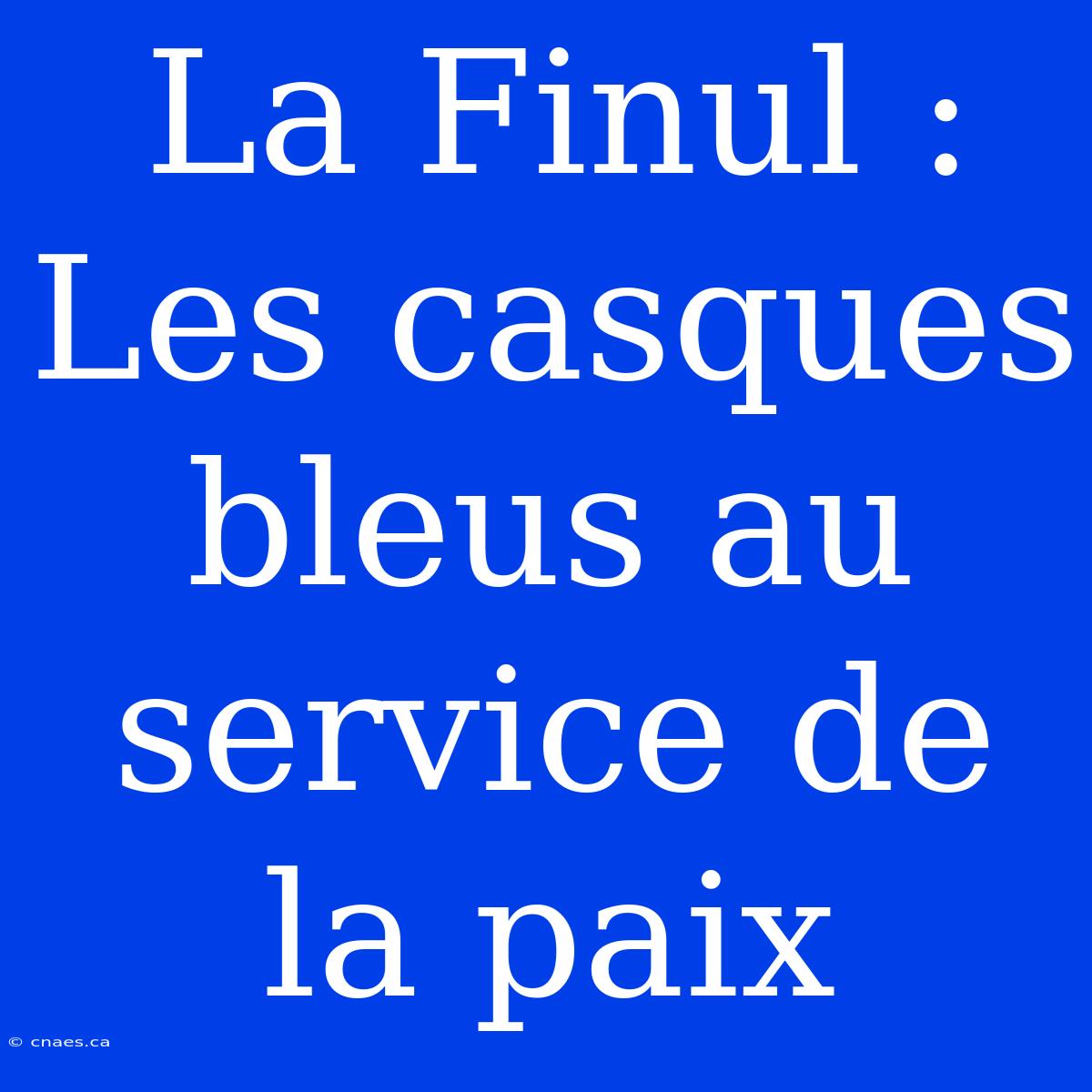 La Finul : Les Casques Bleus Au Service De La Paix