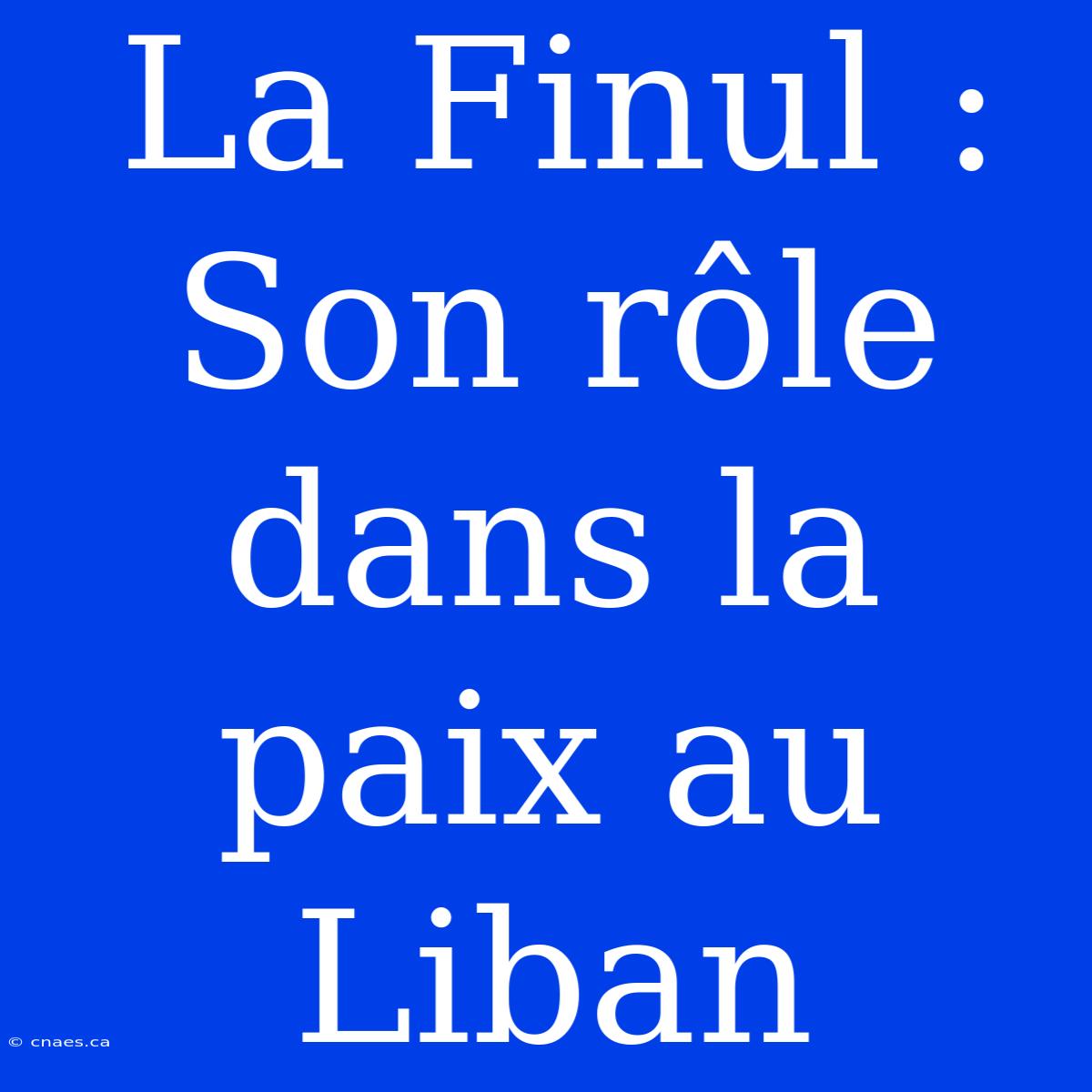 La Finul : Son Rôle Dans La Paix Au Liban