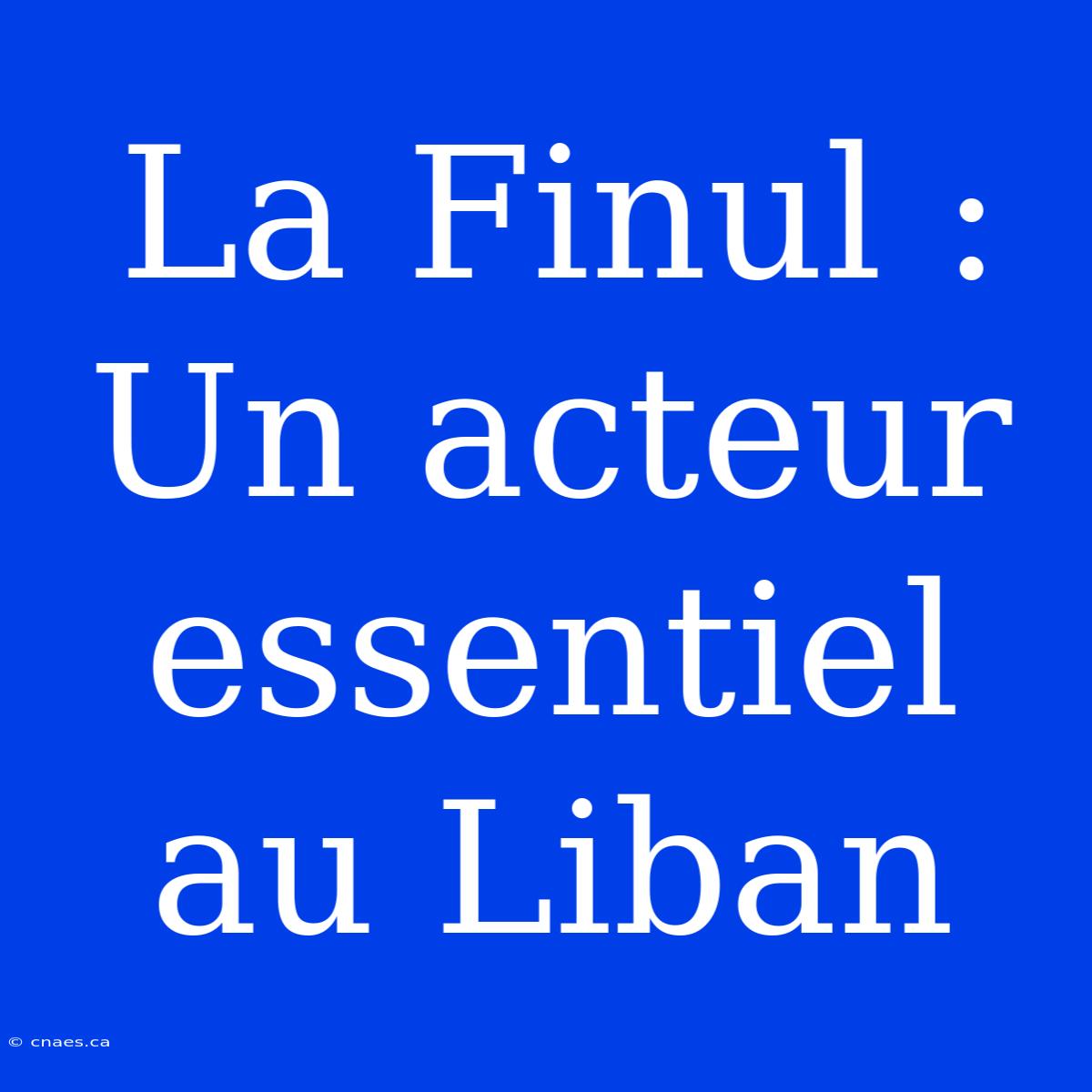 La Finul : Un Acteur Essentiel Au Liban