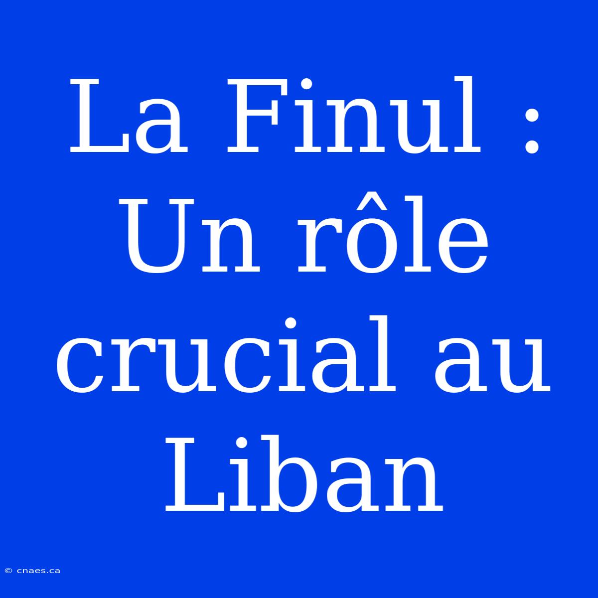 La Finul : Un Rôle Crucial Au Liban