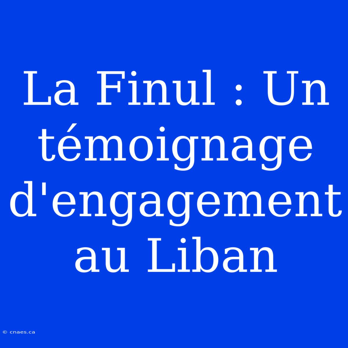 La Finul : Un Témoignage D'engagement Au Liban