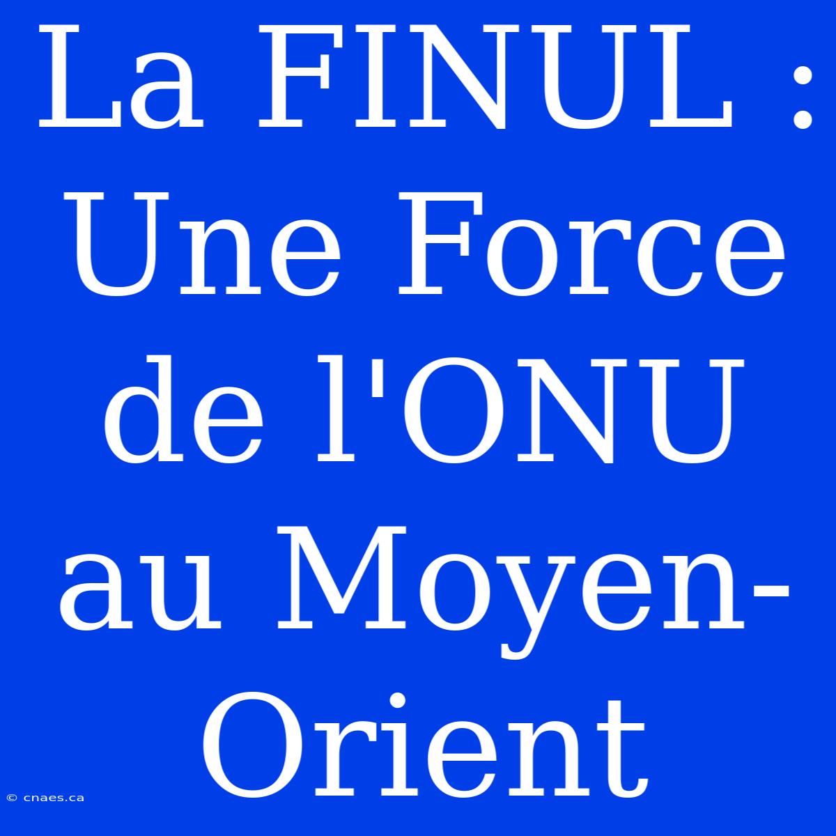 La FINUL : Une Force De L'ONU Au Moyen-Orient