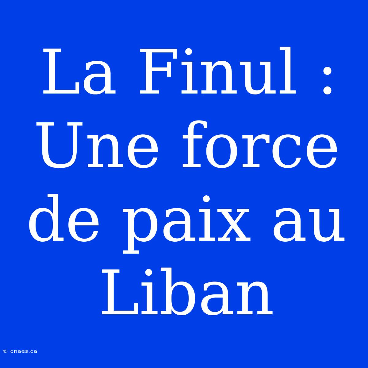 La Finul : Une Force De Paix Au Liban