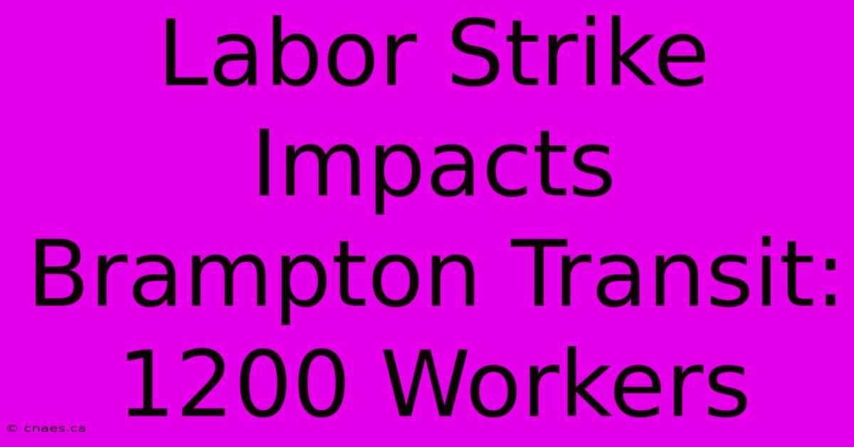 Labor Strike Impacts Brampton Transit: 1200 Workers