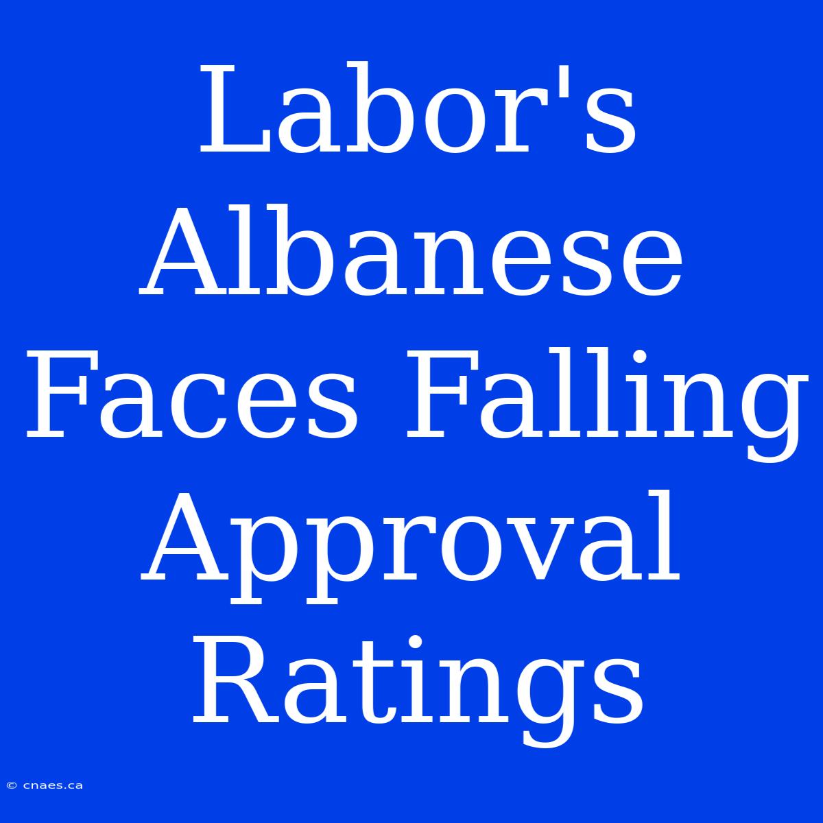 Labor's Albanese Faces Falling Approval Ratings