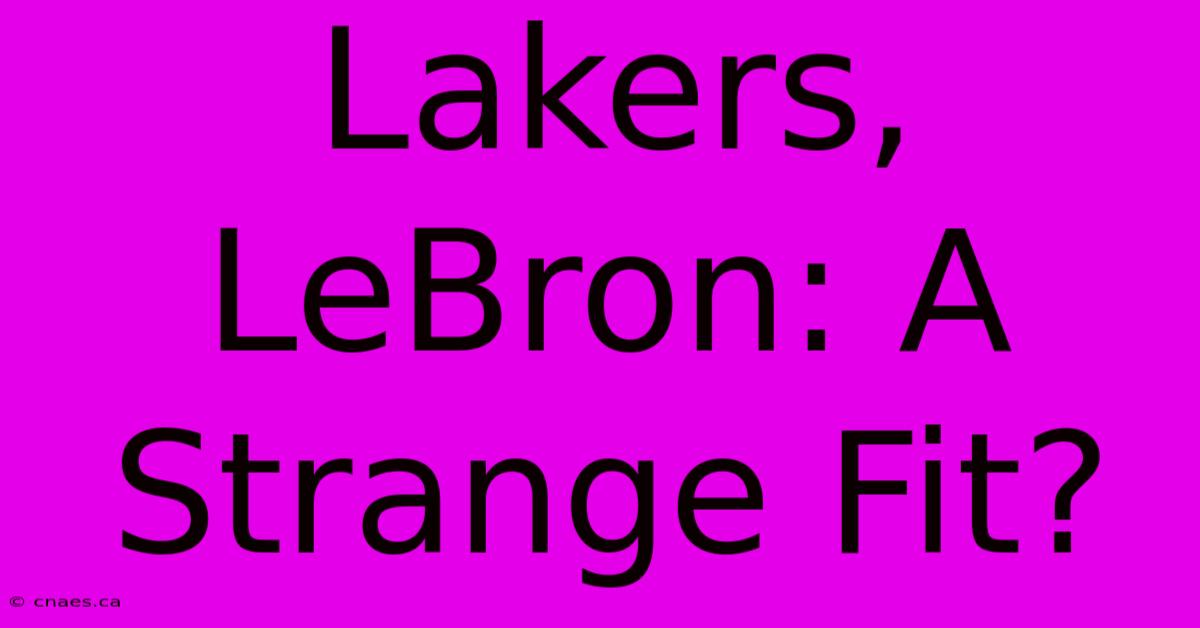 Lakers, LeBron: A Strange Fit?