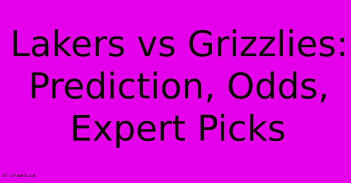 Lakers Vs Grizzlies: Prediction, Odds, Expert Picks