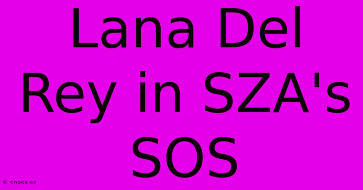 Lana Del Rey In SZA's SOS