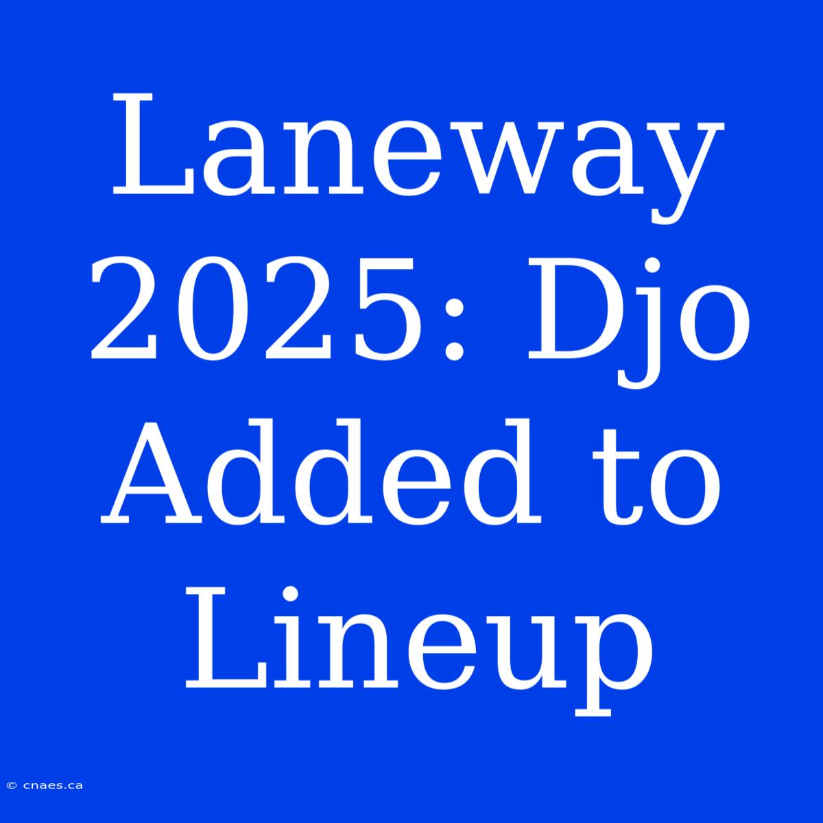 Laneway 2025: Djo Added To Lineup