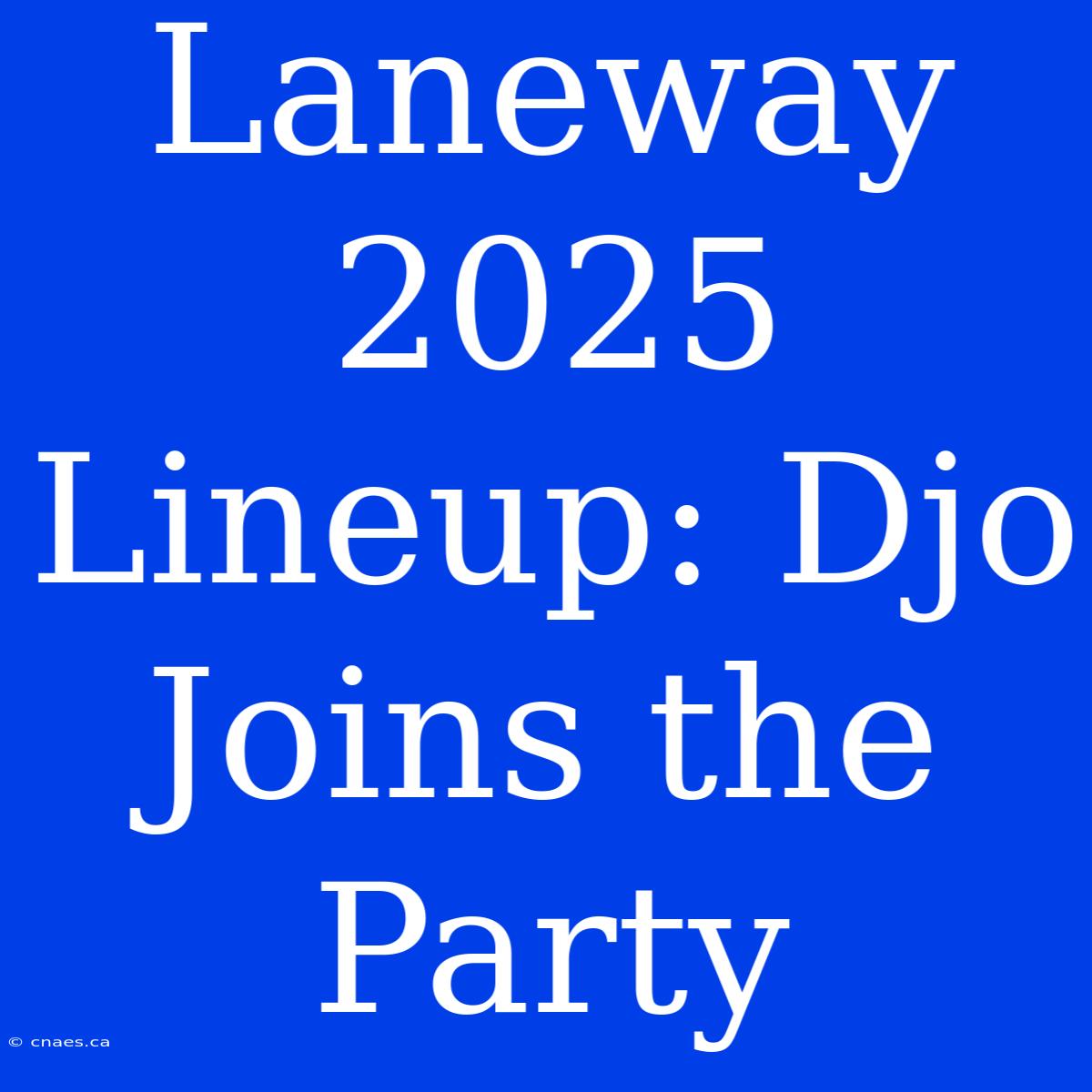 Laneway 2025 Lineup: Djo Joins The Party