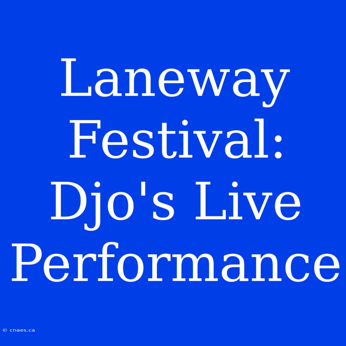 Laneway Festival: Djo's Live Performance