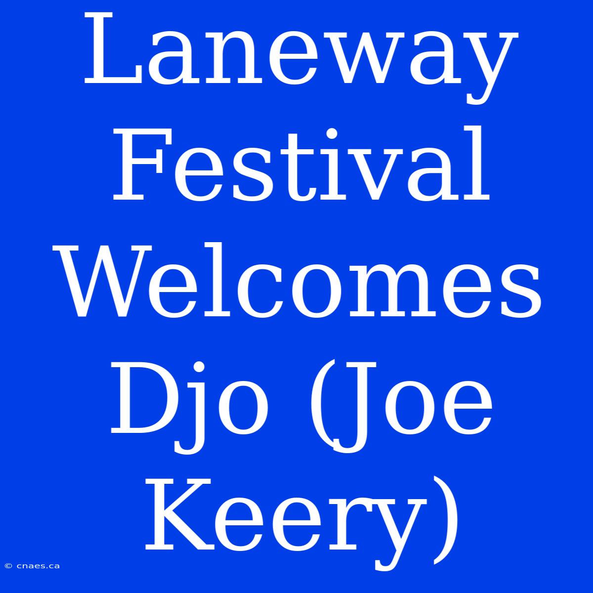 Laneway Festival Welcomes Djo (Joe Keery)