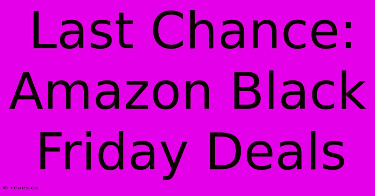 Last Chance: Amazon Black Friday Deals