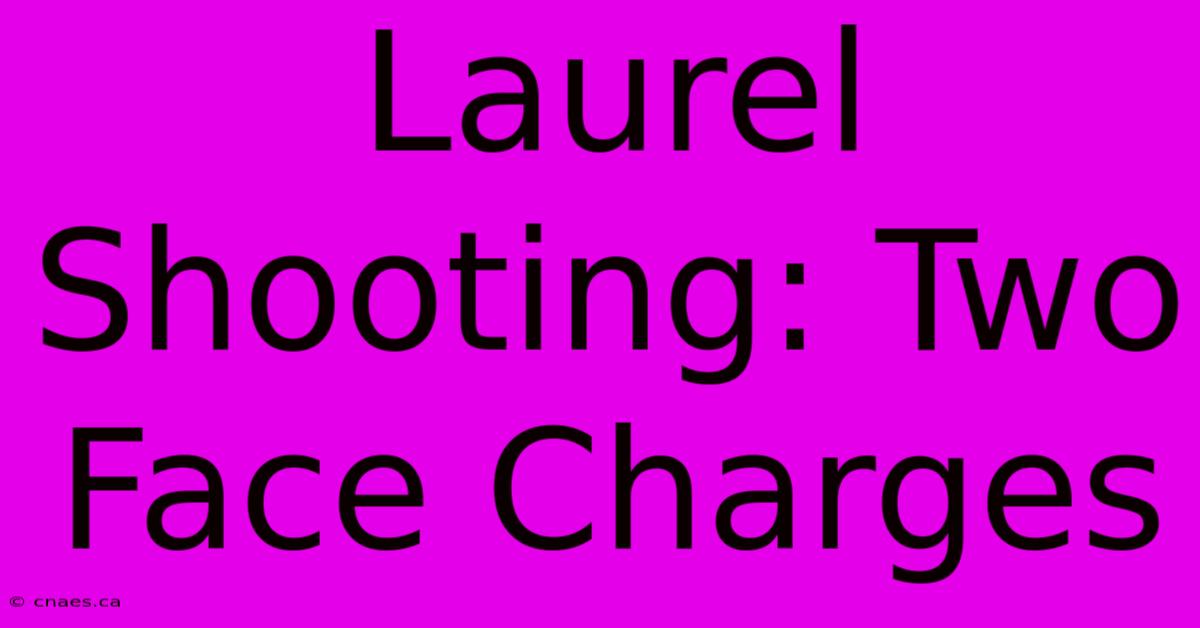 Laurel Shooting: Two Face Charges