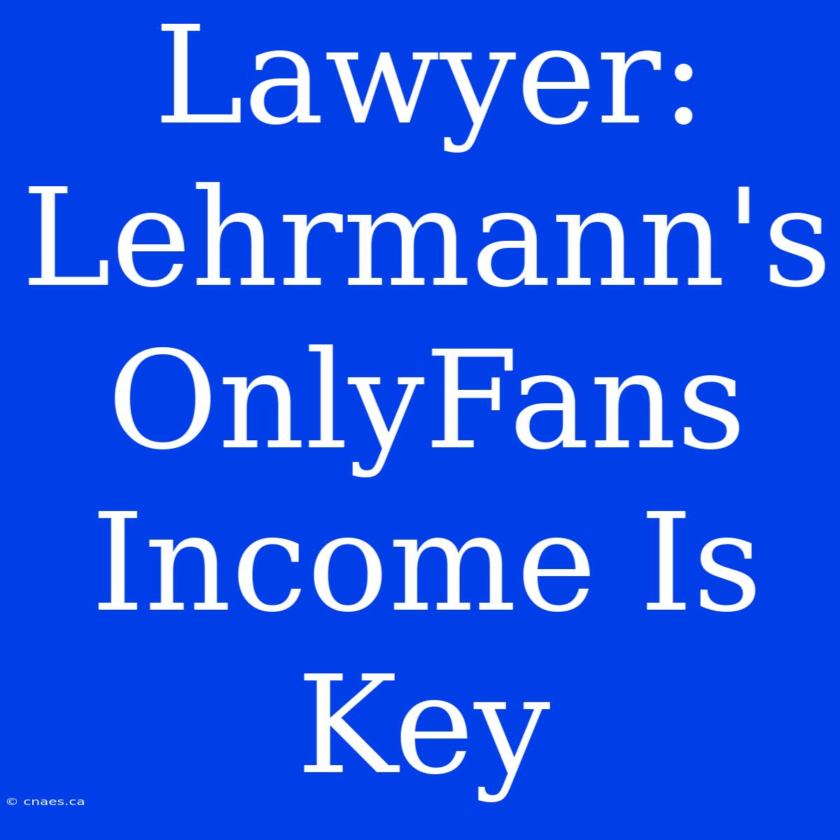 Lawyer: Lehrmann's OnlyFans Income Is Key