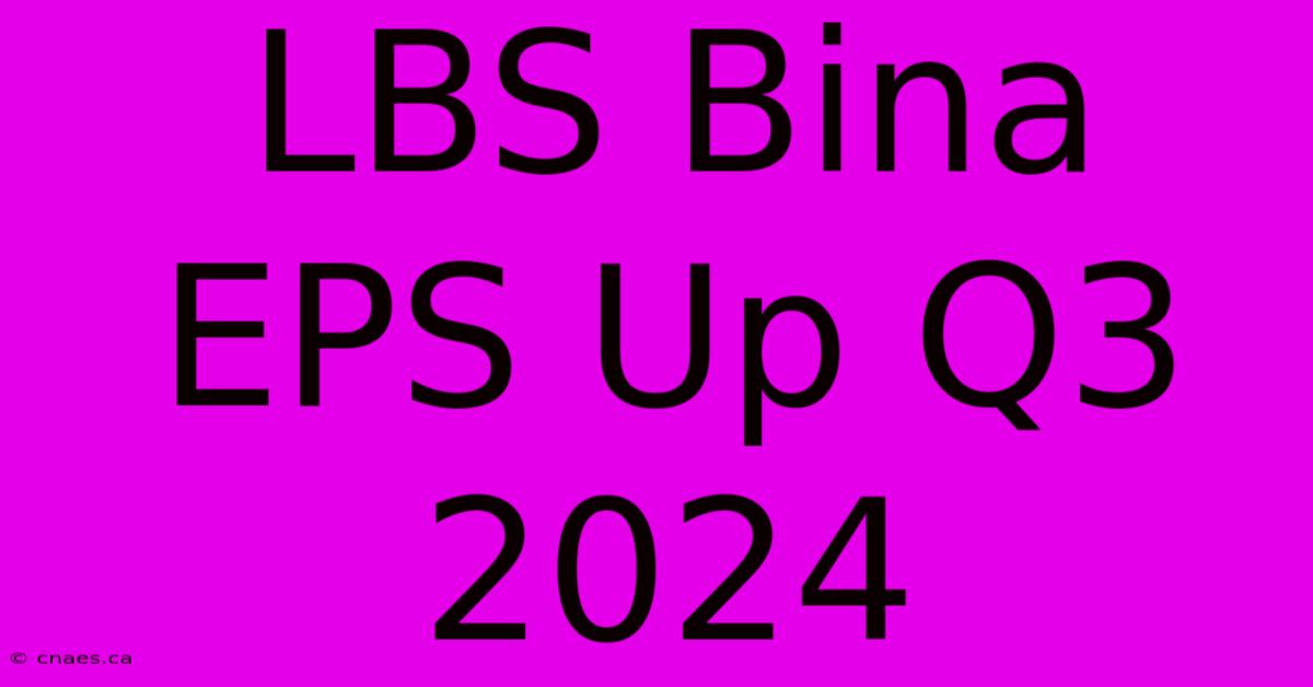 LBS Bina EPS Up Q3 2024