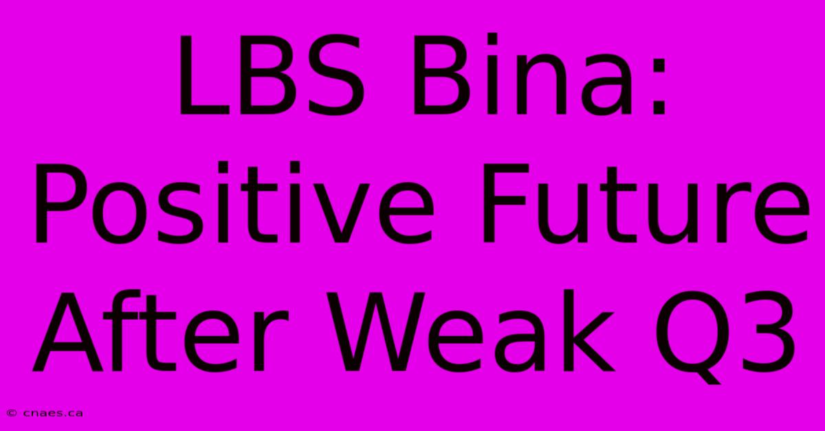 LBS Bina:  Positive Future After Weak Q3