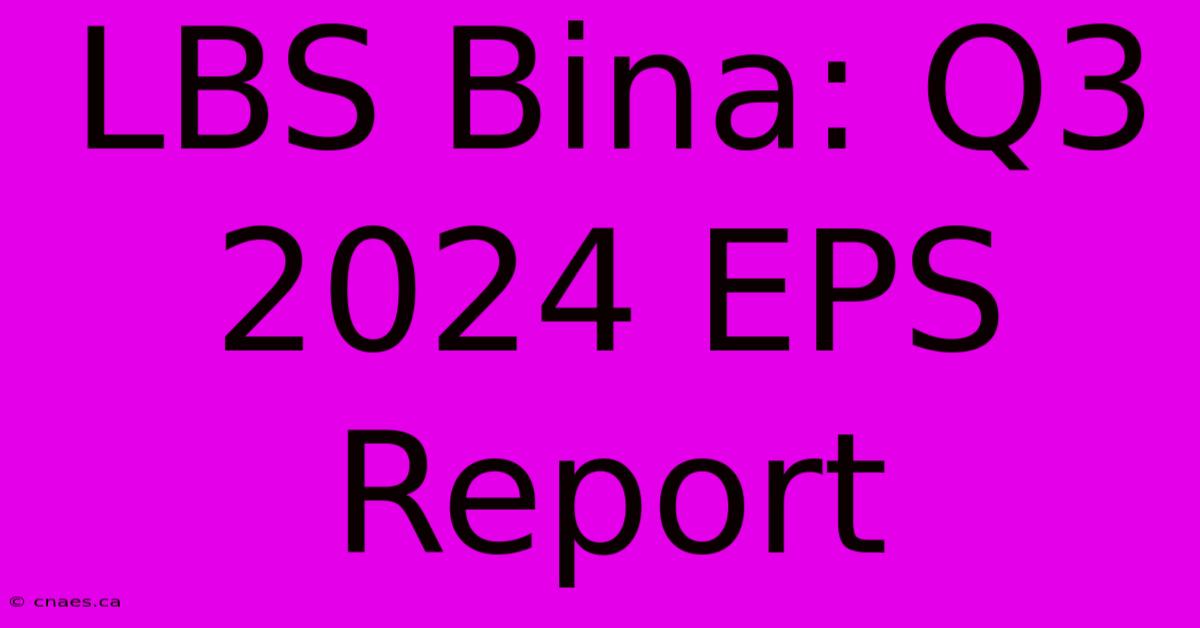 LBS Bina: Q3 2024 EPS Report