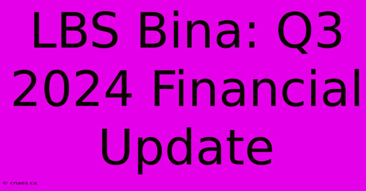 LBS Bina: Q3 2024 Financial Update