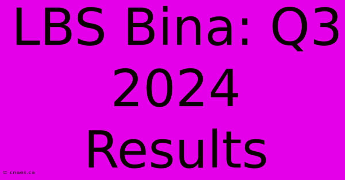 LBS Bina: Q3 2024 Results