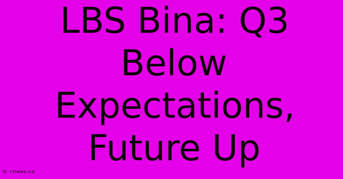 LBS Bina: Q3 Below Expectations, Future Up