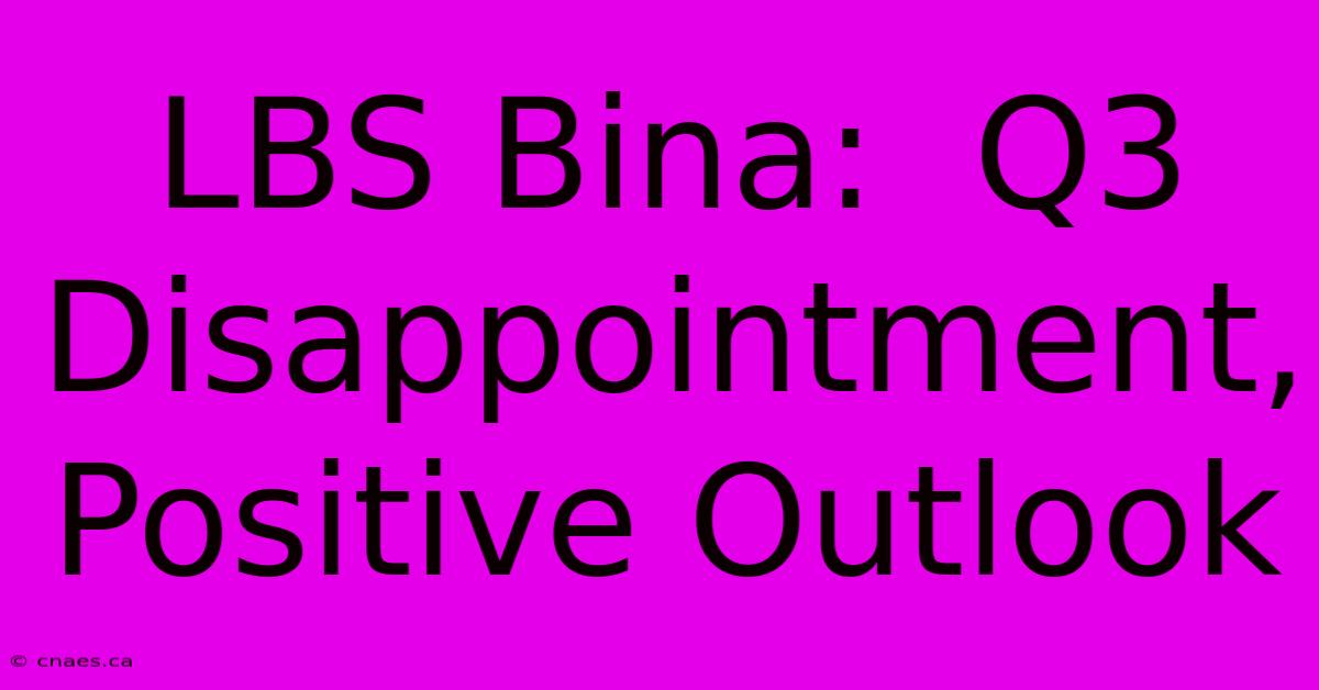 LBS Bina:  Q3 Disappointment, Positive Outlook