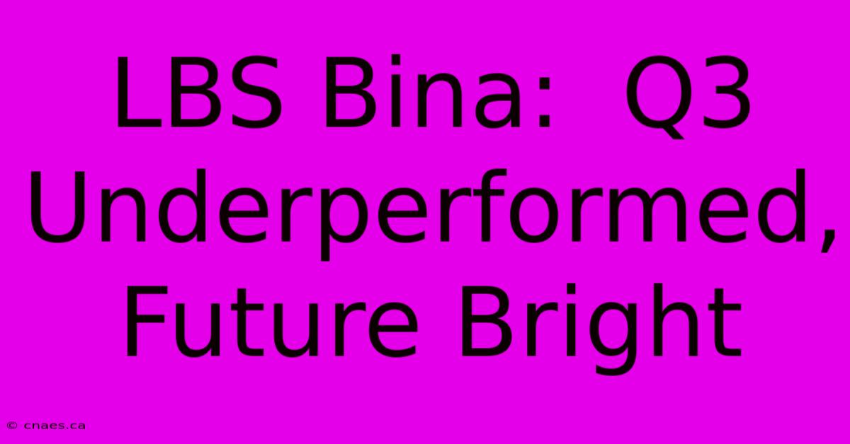 LBS Bina:  Q3 Underperformed, Future Bright