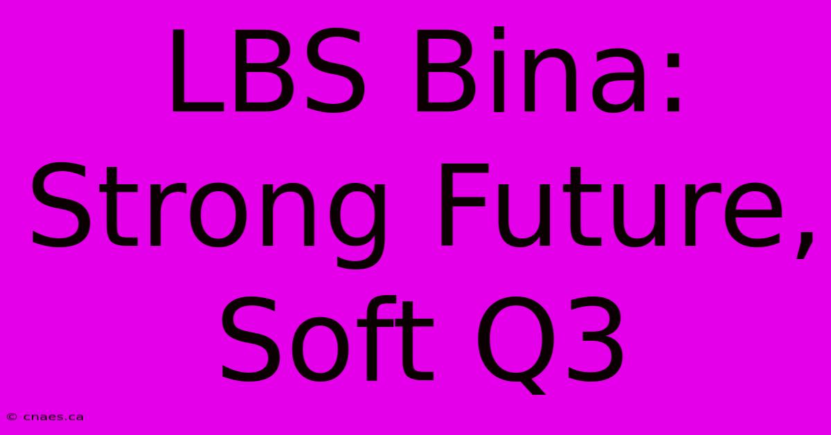 LBS Bina:  Strong Future, Soft Q3