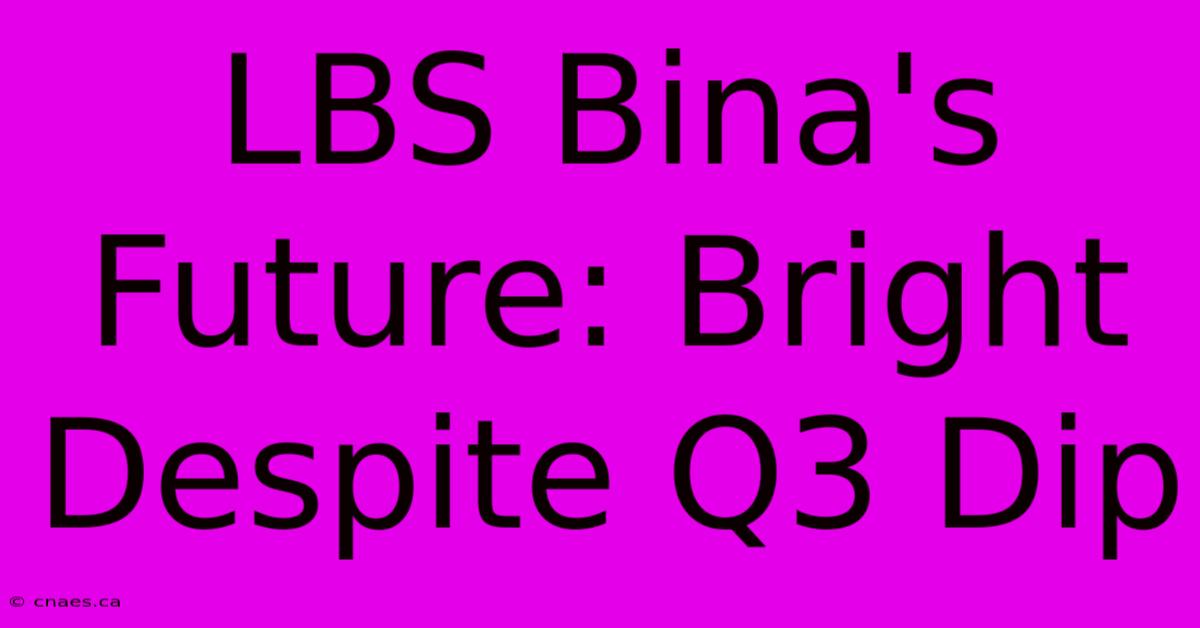 LBS Bina's Future: Bright Despite Q3 Dip