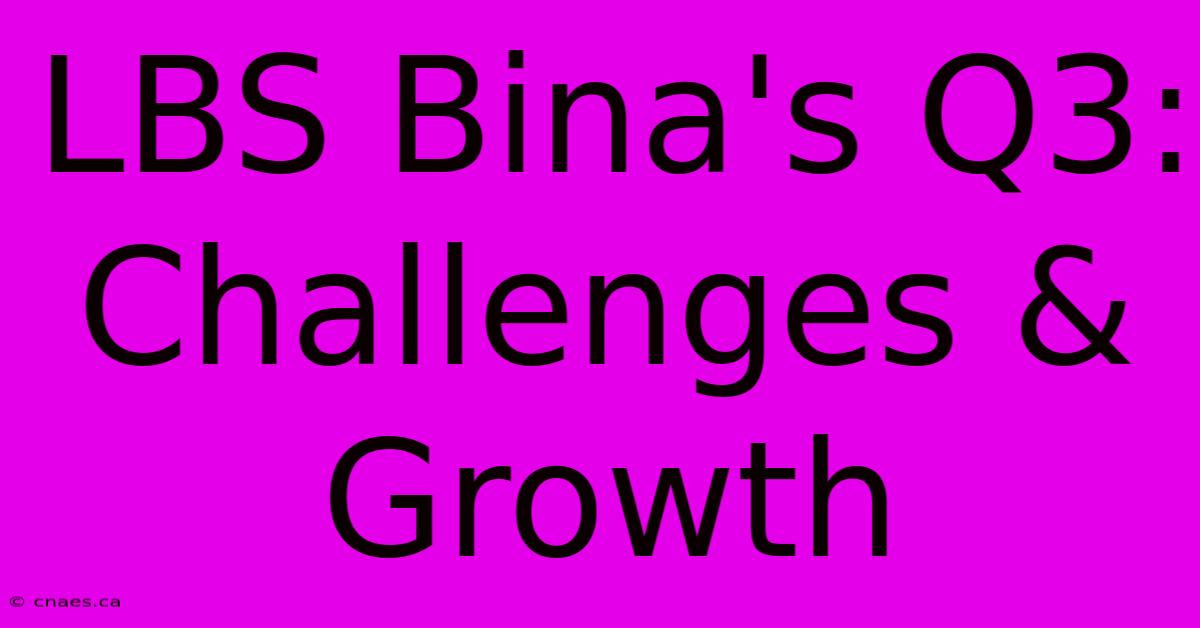 LBS Bina's Q3: Challenges & Growth