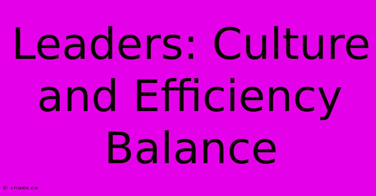 Leaders: Culture And Efficiency Balance