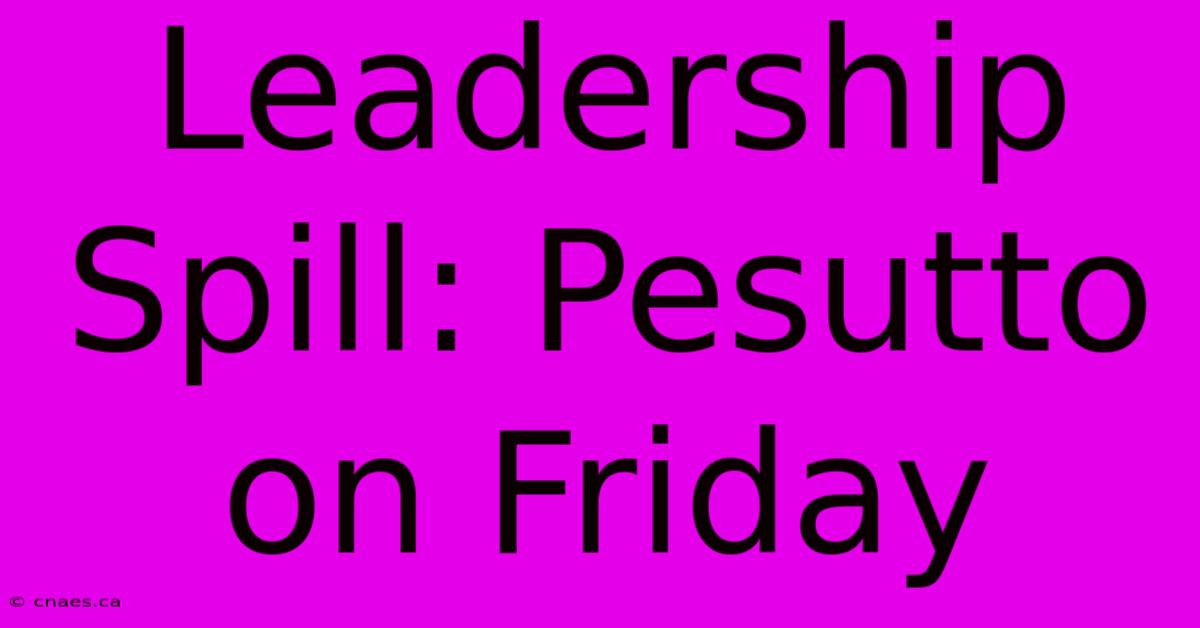 Leadership Spill: Pesutto On Friday