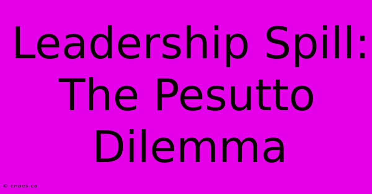 Leadership Spill: The Pesutto Dilemma