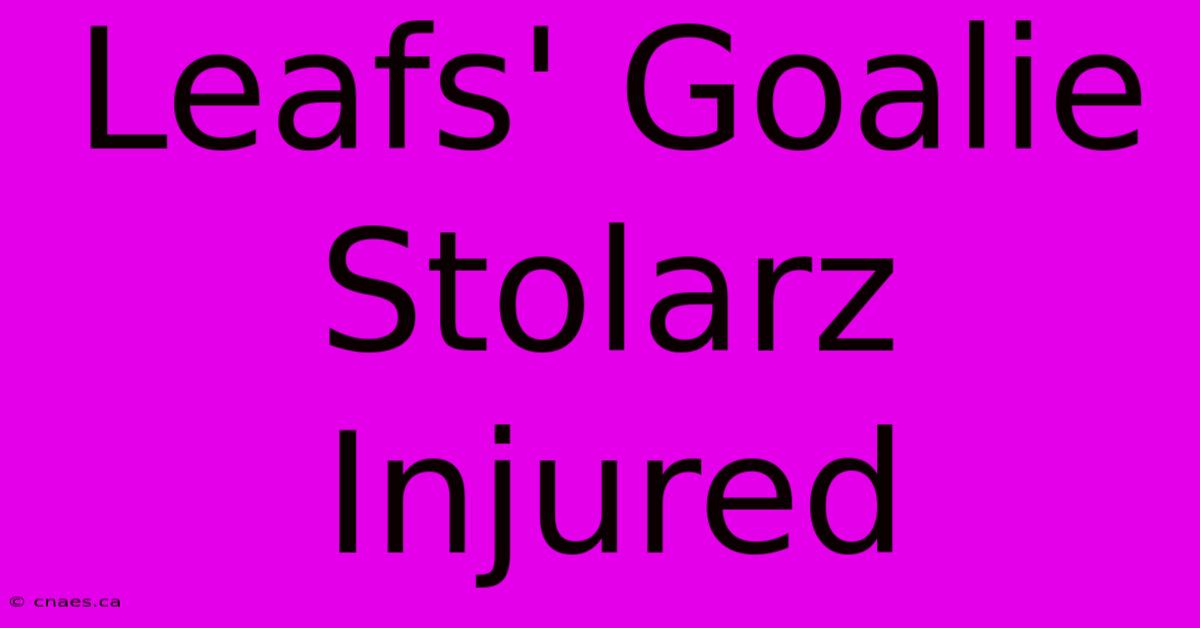 Leafs' Goalie Stolarz Injured